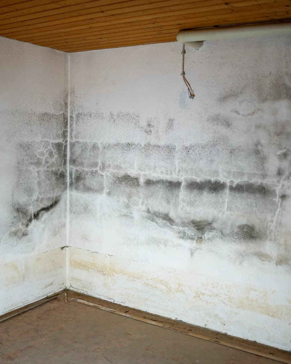 Kellerecke mit durchfeuchteter Wand, dunklen Schimmelflecken und Salzausblühungen am Sockel